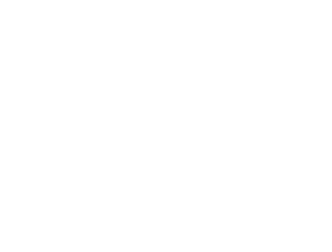 divigency.com
